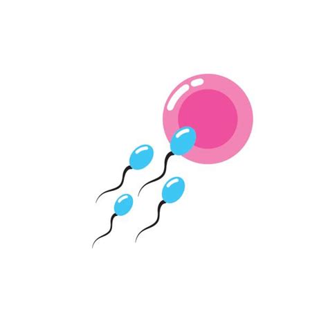 Top 60 Sperm Egg Clip Art, Vector Graphics and Illustrations - iStock