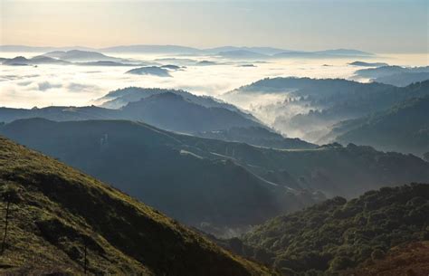 foggy berkeley ca. weather - Google Search | Sibley, Downtown oakland ...