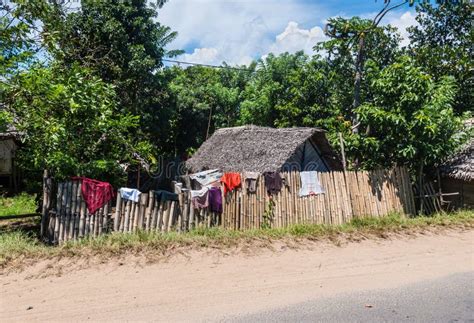 Traditional Houses in Madagascar Editorial Image - Image of countryside, exotic: 95387540