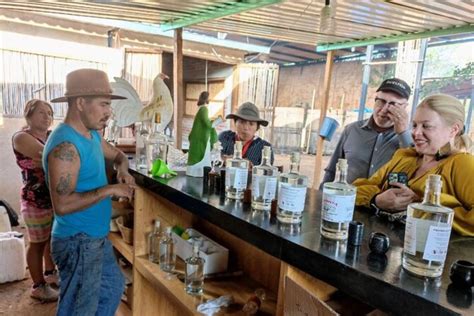 Oaxaca: Ancestral Mezcal Tasting In Ocotlan Valley