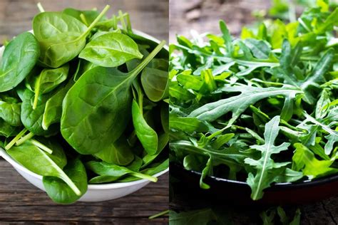 Arugula vs Spinach - Which one is the Best? • HumanWindow