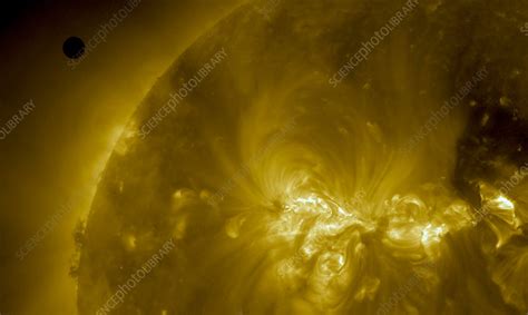 Venus Transit - Stock Image - C017/3320 - Science Photo Library