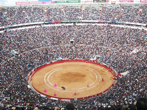 Regresan las corridas a la Plaza México - Página Ciudadana