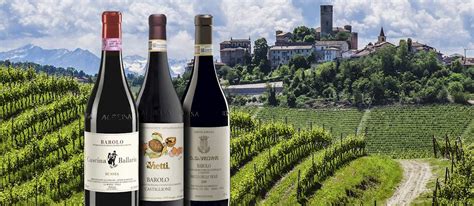 50 Most Popular Italian Red Wines - TasteAtlas