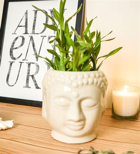 Buy Buddha Spiti Ceramic Vase Planter in Cream colour by HollyHock Online - Desk Pots - Pots ...