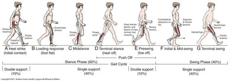 Gait Analysis - Masnad Health Clinic