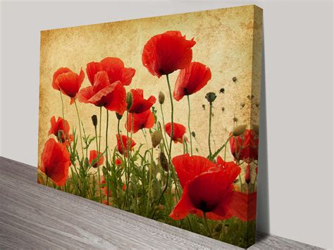 Vintage Poppies Art Print on Canvas | Poppy Field Framed Wall Art Pictures