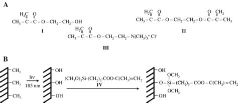 a Structures of the methacrylate monomers used for the development of... | Download Scientific ...