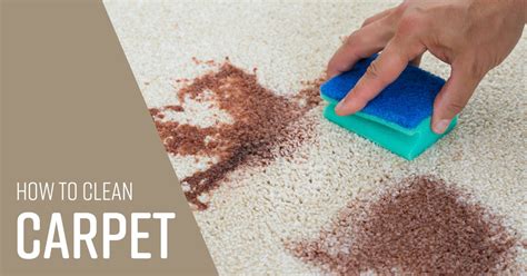 How to Clean Carpet - Simple Green