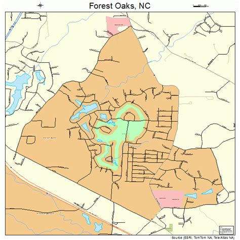 Forest Oaks North Carolina Street Map 3724198