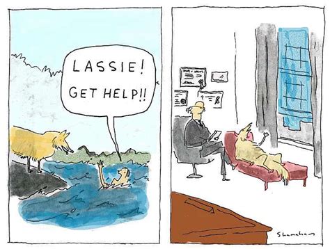 Lassie get help | Cartoon jokes, Best funny pictures, Funny memes