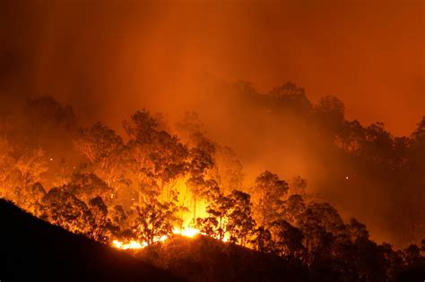PERILS unveils final loss estimate for 2019-20 Australian bushfires ...