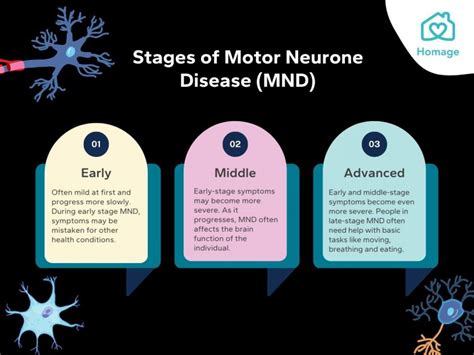 Motor Neuron Disease Symptoms Diagnosis Treatment – NBKomputer