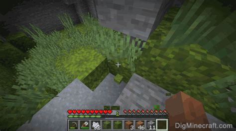 Minecraft Moss Block Texture