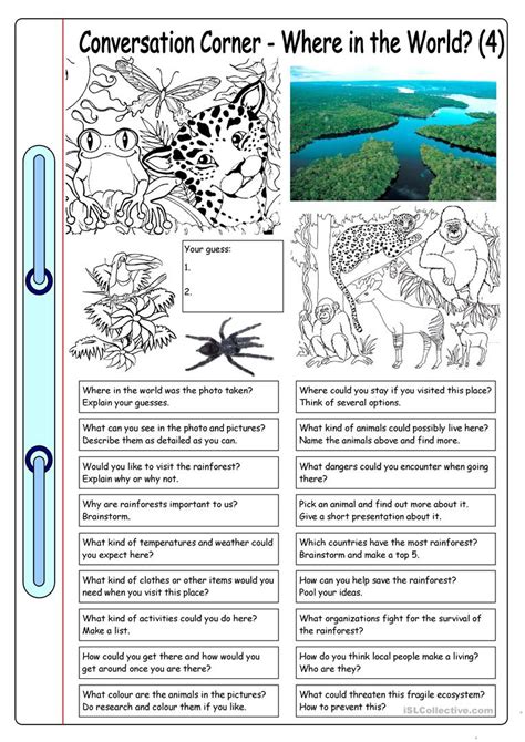 Rainforest Worksheets Year 5 Entertainasian Images