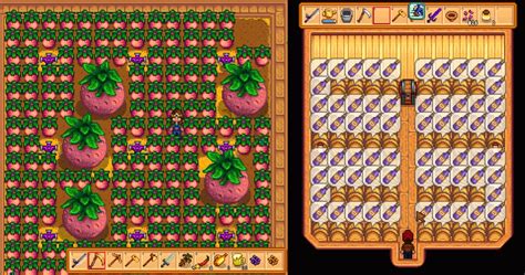 Stardew valley starfruit wine