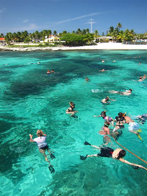 Complete Aruba Snorkeling Guide - Recommended Beaches & Tours