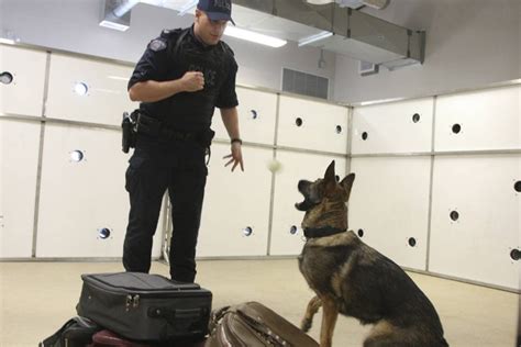 RCMP Police Dog | ADA Service Dog Registry