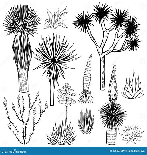 Desert Plants And Animals Set Vector Illustration | CartoonDealer.com ...