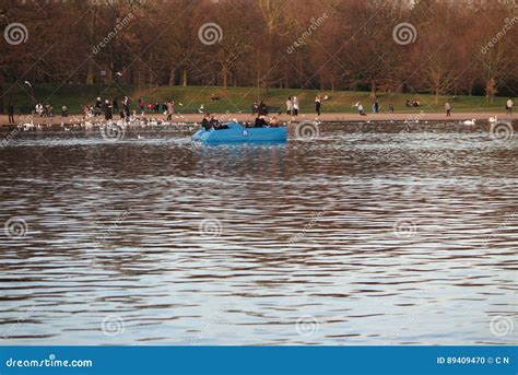 The Serpentine Lake in Hyde Park Editorial Image - Image of seagulls, happy: 89409470