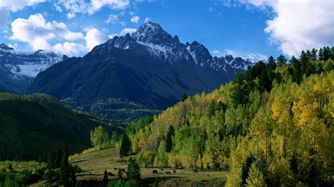 1920x1080 nature, forest, sky, mountains, trees, hills, autumn, clouds ...