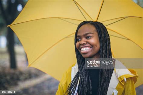 504 African Umbrella Tree Stock Photos, High-Res Pictures, and Images - Getty Images