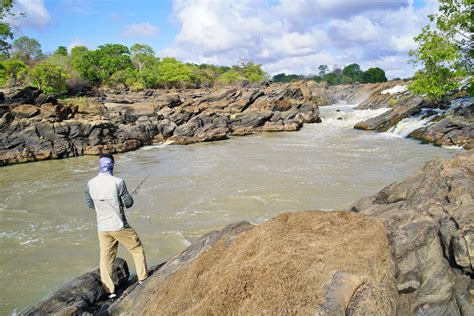 How To Catch African Tigerfish