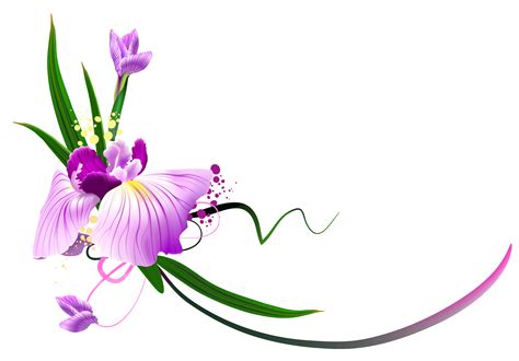 Beautiful Purple Floral Decor PNG Clipart | Flower art, Clip art borders, Flower clipart