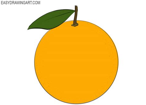 How to Draw an Orange - Easy Drawing Art