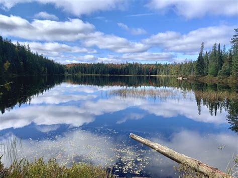 A Guide for Hiking the Highland Backpacking Trail in Algonquin - The Holistic Backpacker