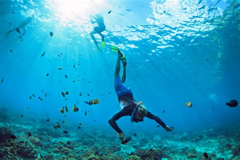 ? Los mejores lugares para hacer snorkel en España - Open Water