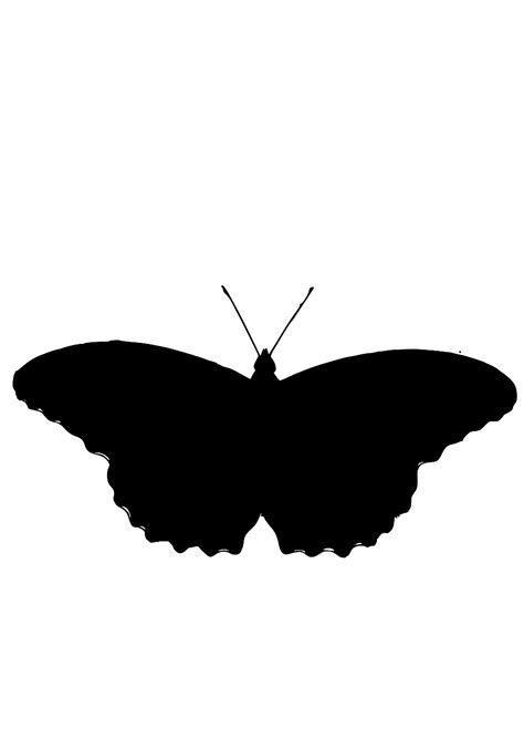 SVG > clip art butterfly orange - Free SVG Image & Icon. | SVG Silh