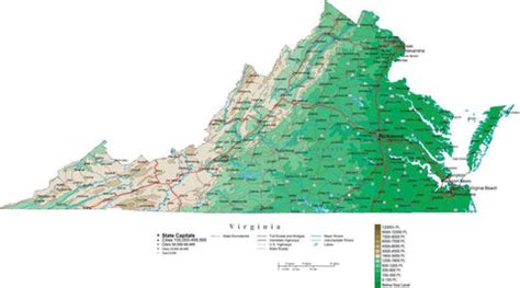 Virginia Contour Map in Adobe Illustrator Digital Vector Format