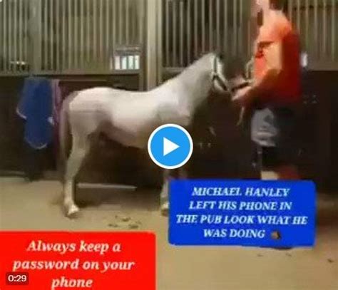 Michael Hanley horse viral videoMichael Hanley horse viral videoMichael Hanley horse viral ...