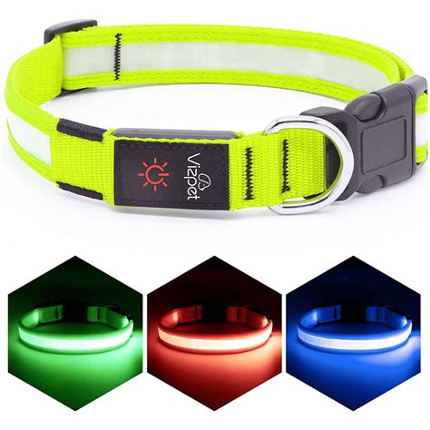 Best Light Up Dog Collar Keep Your Pup Safe And Seen