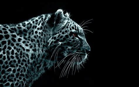 Black and White Leopards Wallpapers HD / Desktop and Mobile Backgrounds