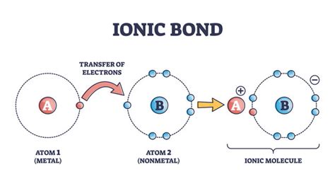 What Holds Atoms Together in a Molecule? - EnthuZiastic