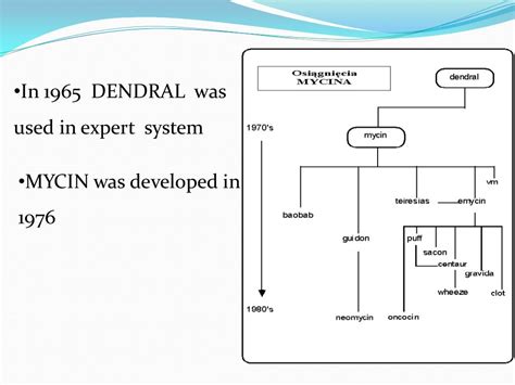 Expert system mycin