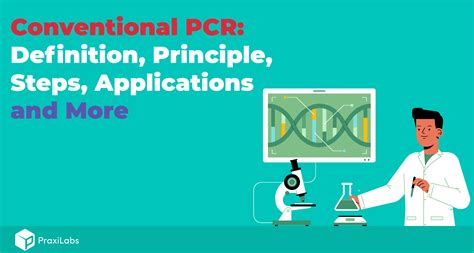 What Are The Three Basic Steps of Conventional PCR?