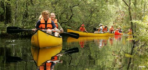 Alligator River National Wildlife Refuge | The Sights and Sites of America