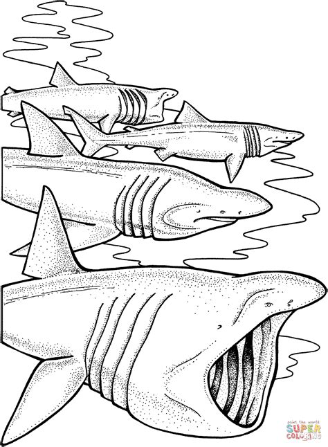 Basking Sharks coloring page | Free Printable Coloring Pages