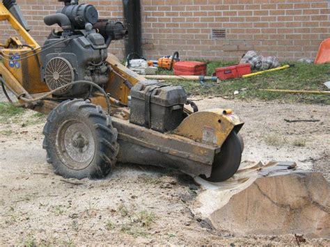 Stump Grinding & Removal , Glasgow, Scotland | Orchard Street Tree ...