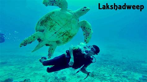 Lakshadweep - Scuba Diving with Turtle - YouTube