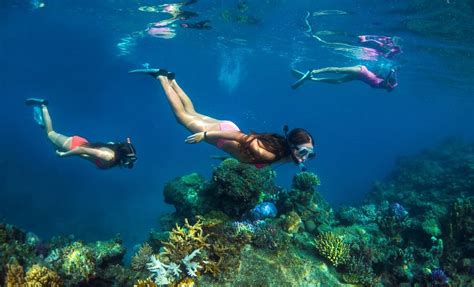 8 Day MV Reef Endeavour: Colonial Fiji Discovery Cruise | Eclipse Travel