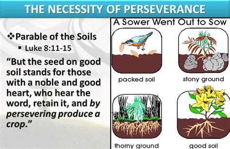 The Parable of The Sower | God Is Our Refuge And Strength