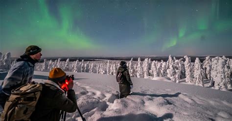 Rovaniemi: Discover the Northern Lights Photography Tour | GetYourGuide