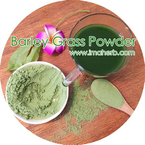 Organic Barley Grass Powder, Organic Young Barley Grass Leaves Juice Powder