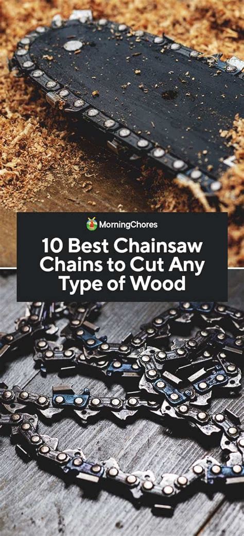 10 Best Chainsaw Chains to Cut Any Type of Wood