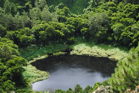 Dormant Volcano "Trou aux Cerfs" in Mauritius (PHOTOS) : Places : BOOMSbeat