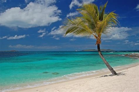 St. Vincent and the Grenadines Travel Guide - Expert Picks for your ...